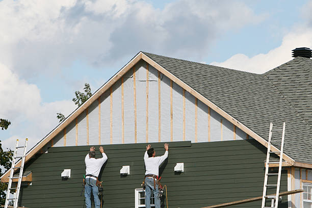 Professional Siding Repair technician working in Rhodesdale, MD